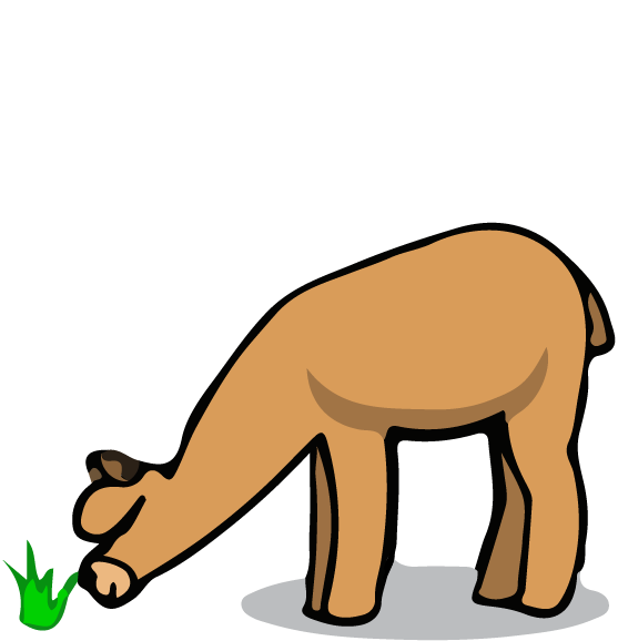 Alpaca grazing icon